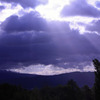Purple　Morning