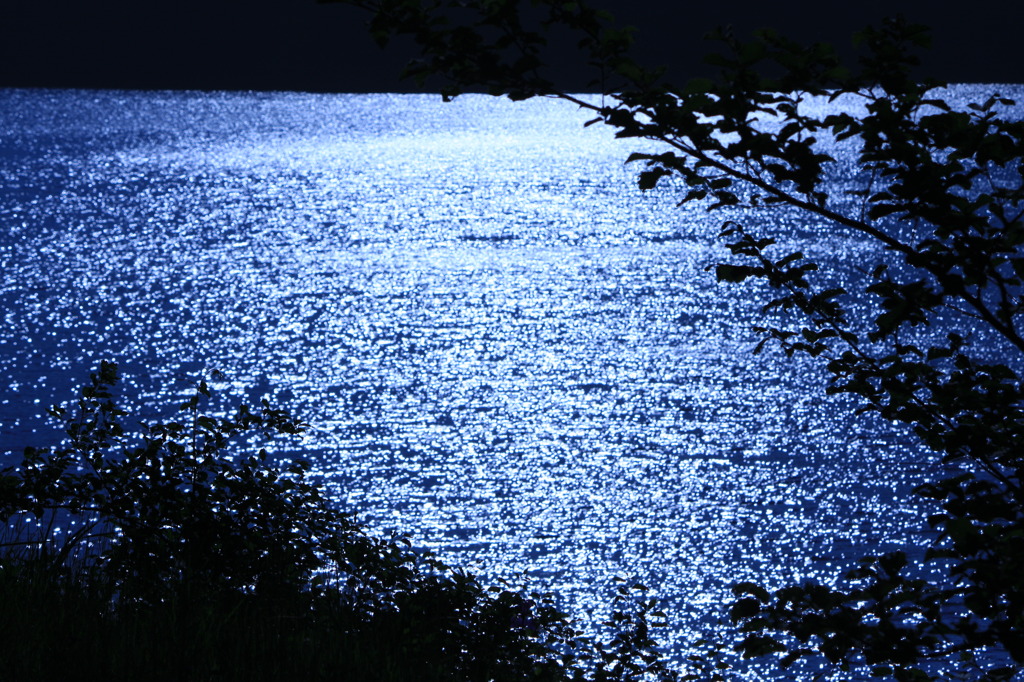 蒼の湖面