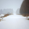 春、待ち遠しい