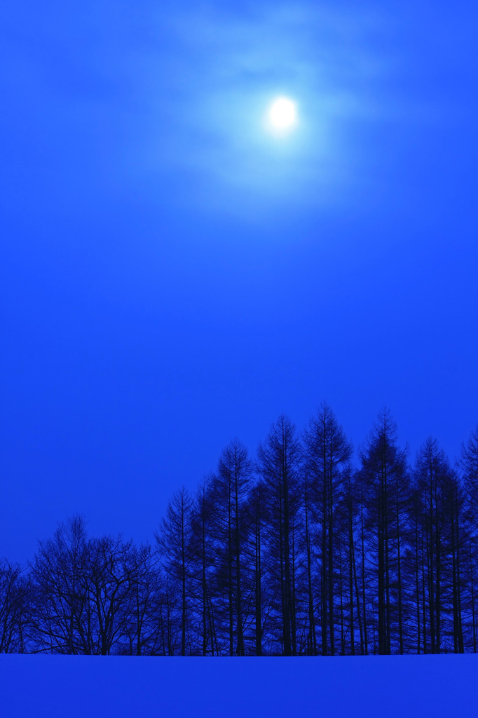月夜のように