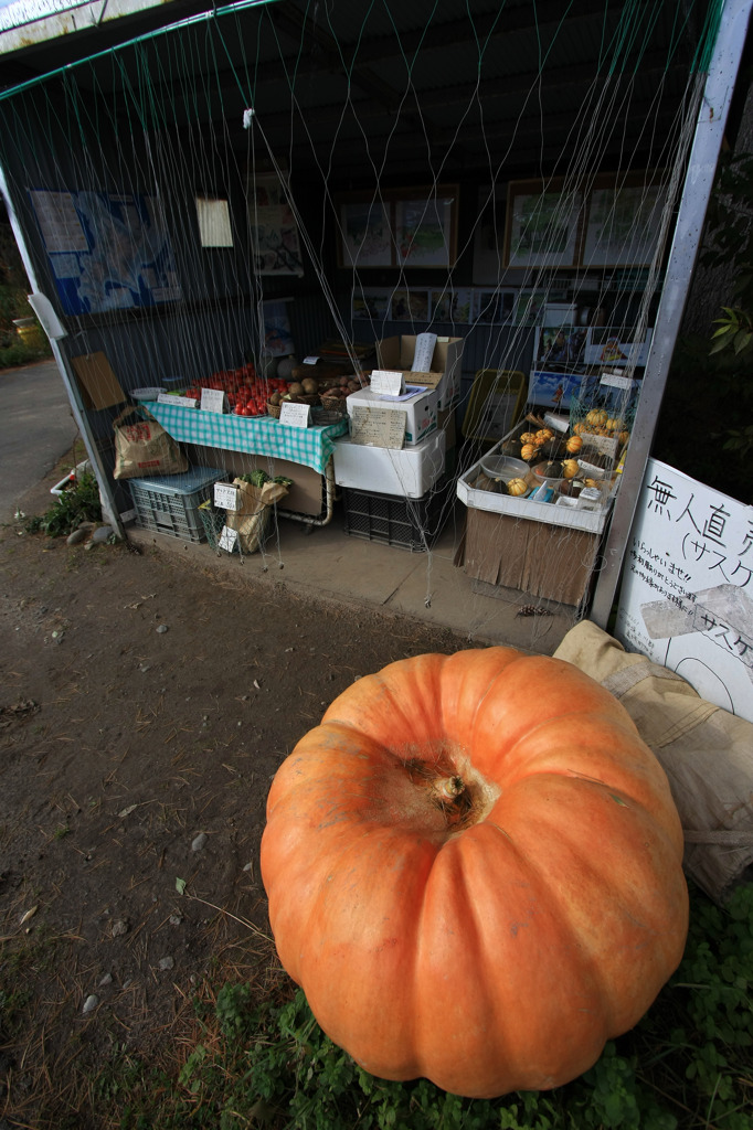 無人のハロウィン