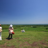 絶景でも犬には…
