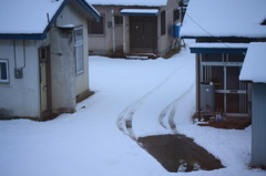 お留守番