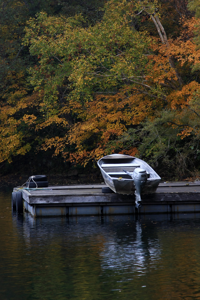goodbye autumn