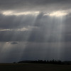 ひかりの雨