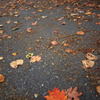 Fall in Autumn