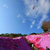 天空からの眺め