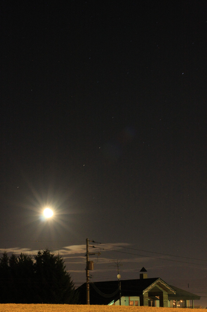 moonlight kiss