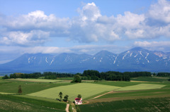 みどりの大地