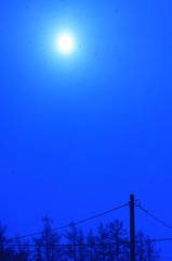 蒼い雪