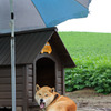 畑番・犬