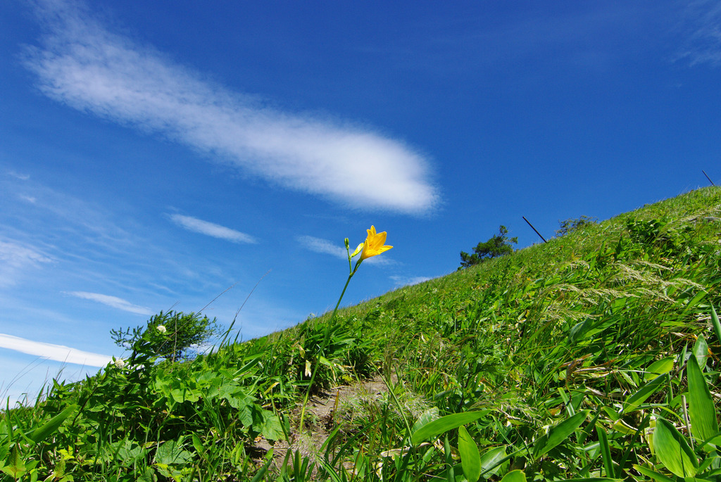 夏の始まり