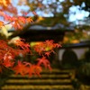 紅葉と山門