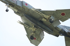 おなか