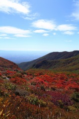 那須の紅葉