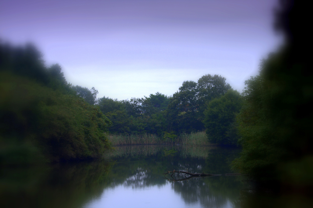 昔見た風景