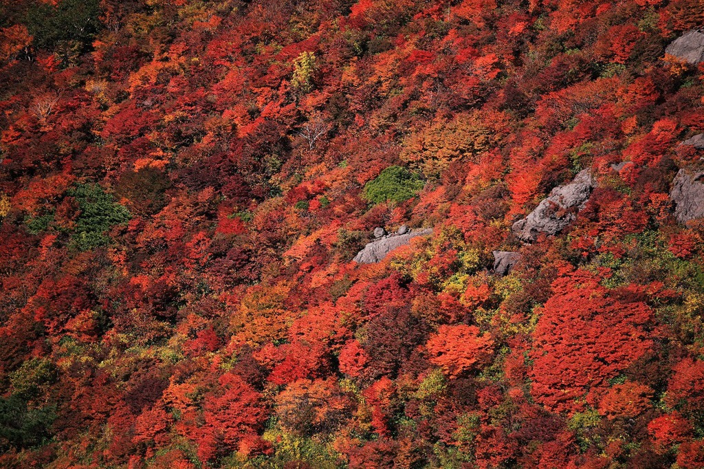 那須の紅葉