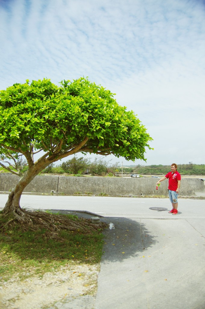 okinawa