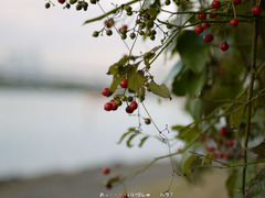 P1010062