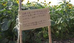 R0011682r