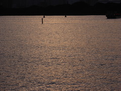 R0012031