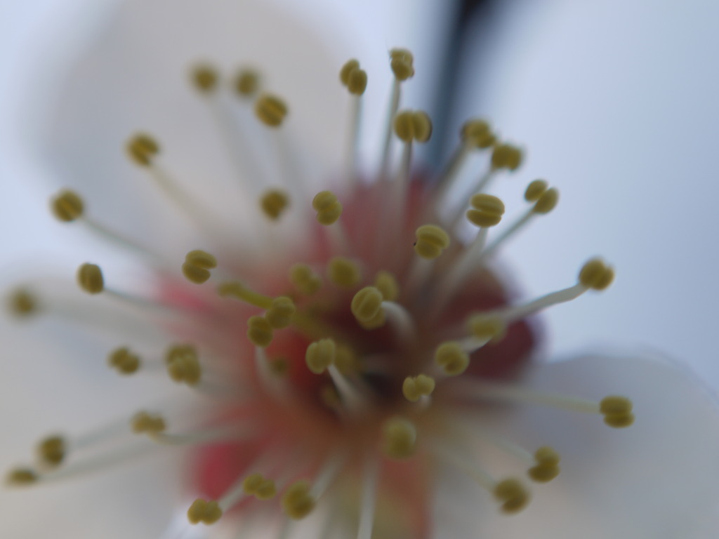P1060262