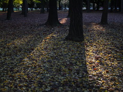 P1030206