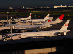 JAL Group1