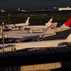JAL Group1