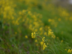 P1080611