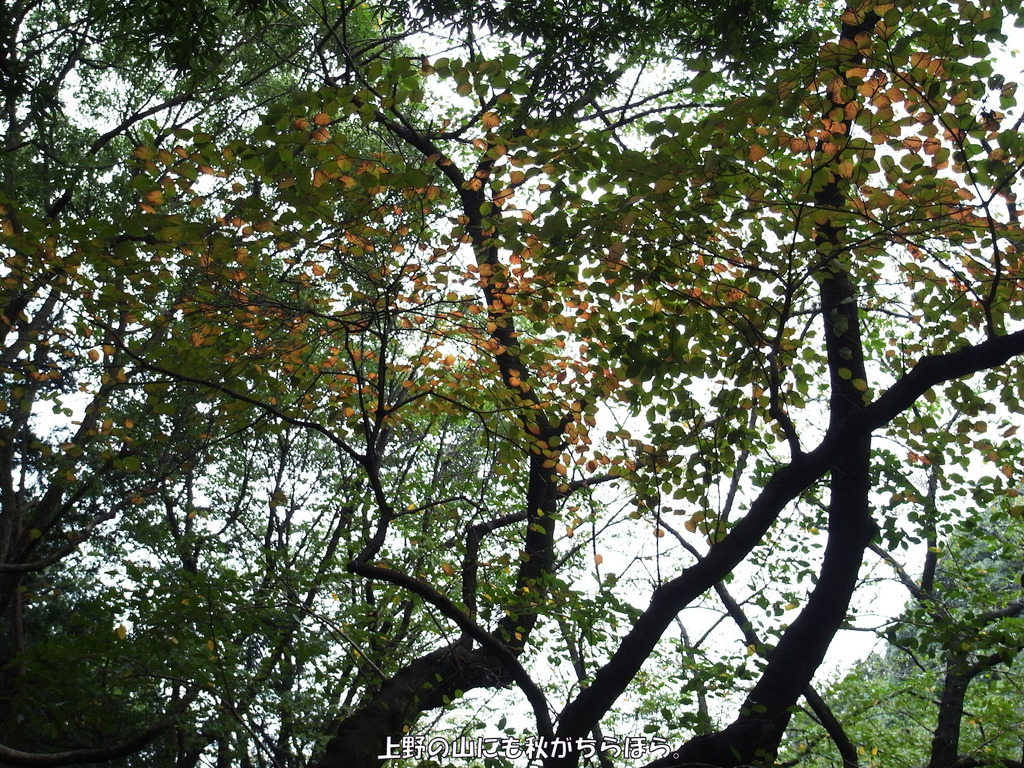 R0012489