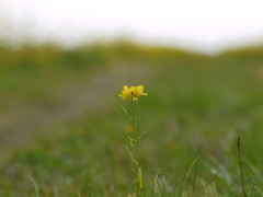 P1080549
