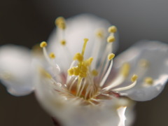 P1060150