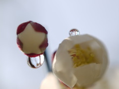 P1060112