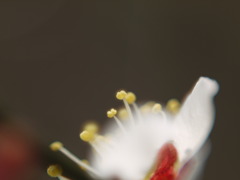 P1060140