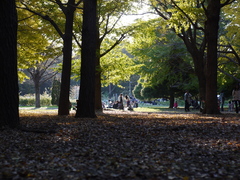 P1030199