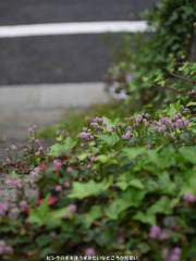 P1020246