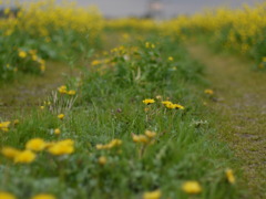 P1080531