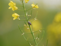 P1080461
