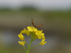 P1080495