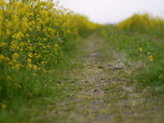 P1080576