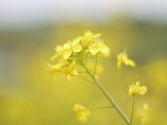 P1080456