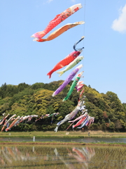 里山の風物詩