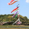里山の風物詩
