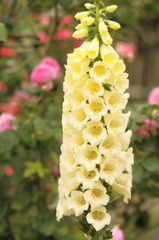 花壇のシンボルタワー