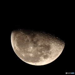 月齢19.7 ( 2015/12/31 )