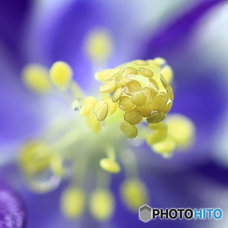 打ち上げ花火 ⁉