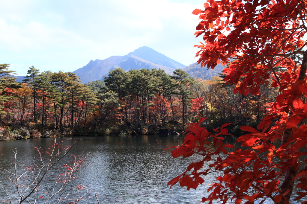 裏磐梯＆ばや池の紅葉！