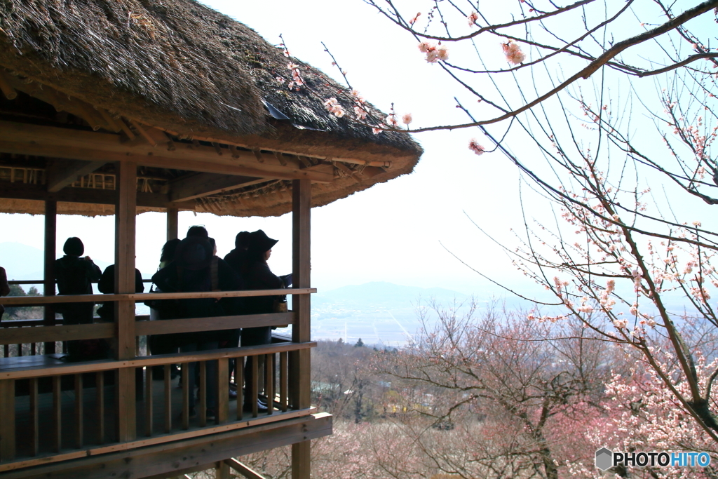 ❜18 筑波山梅まつり～展望あずまや～