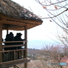 ❜18 筑波山梅まつり～展望あずまや～